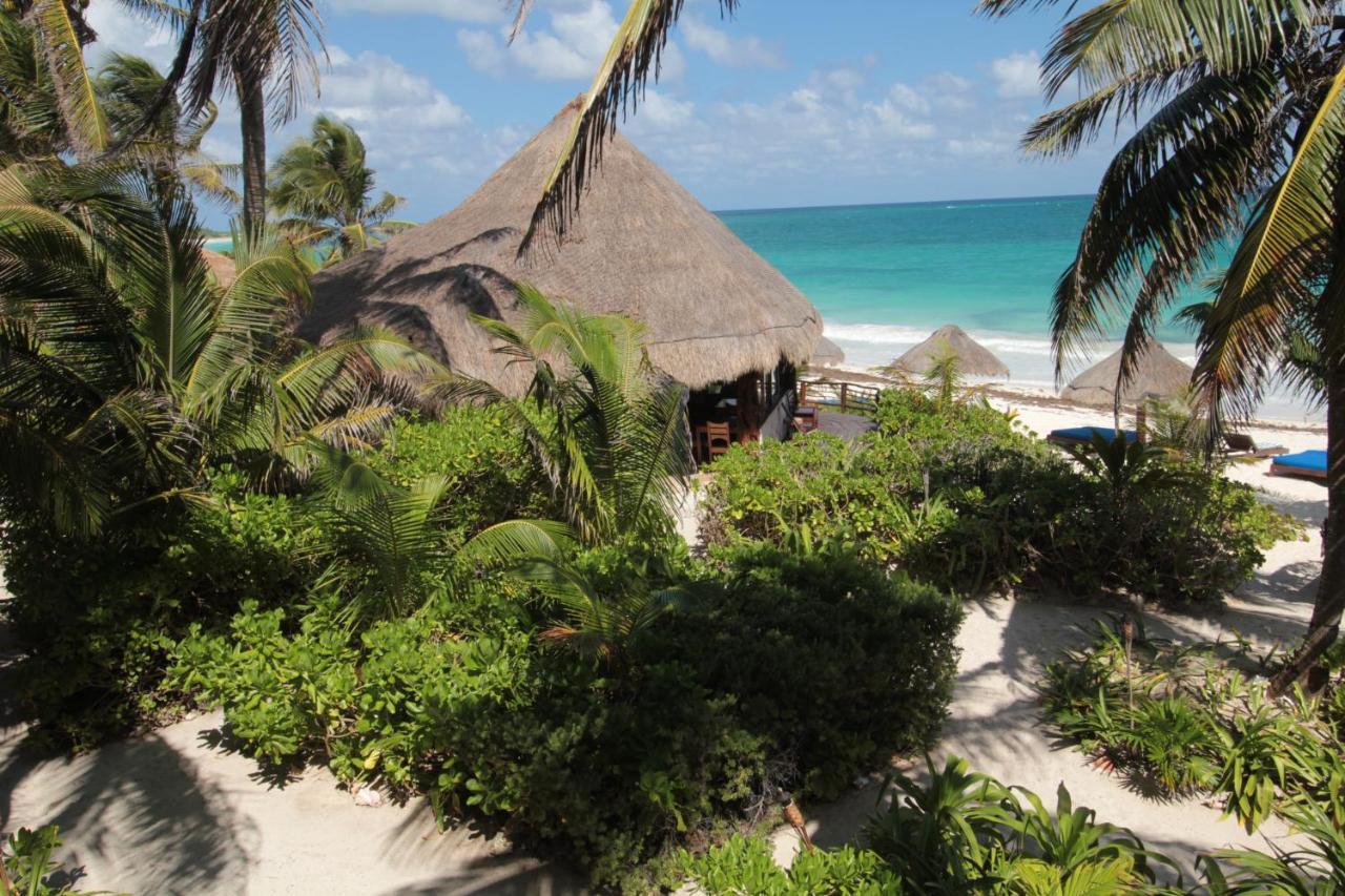 Hotel Sol Caribe à Punta Allen Extérieur photo