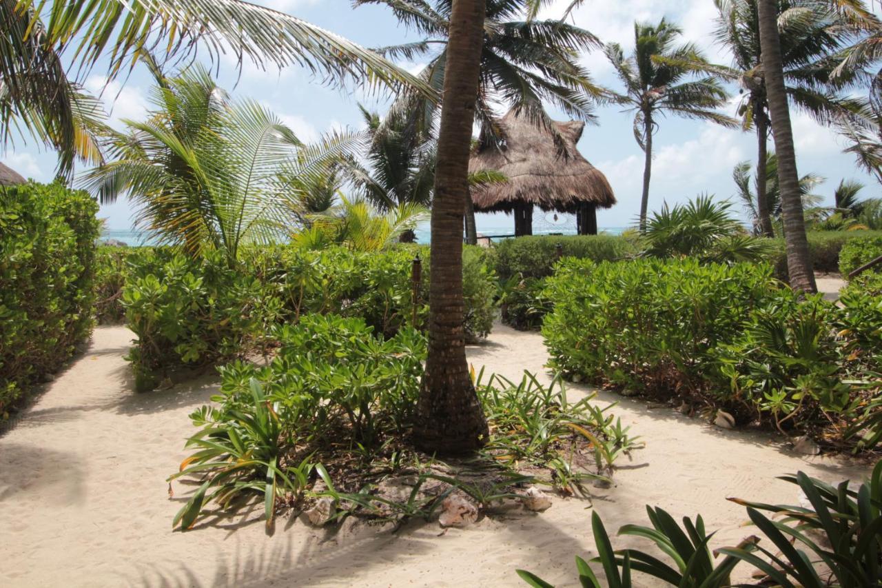 Hotel Sol Caribe à Punta Allen Extérieur photo