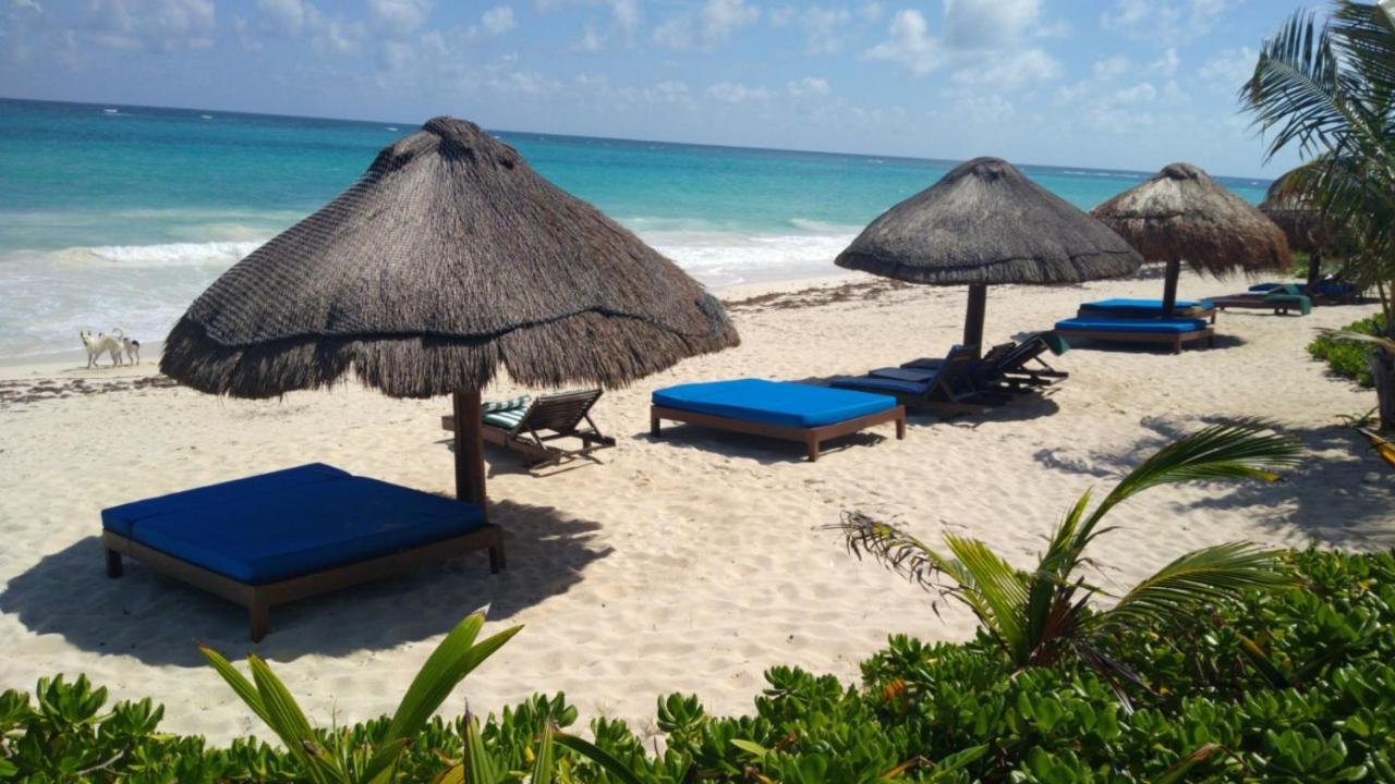 Hotel Sol Caribe à Punta Allen Extérieur photo