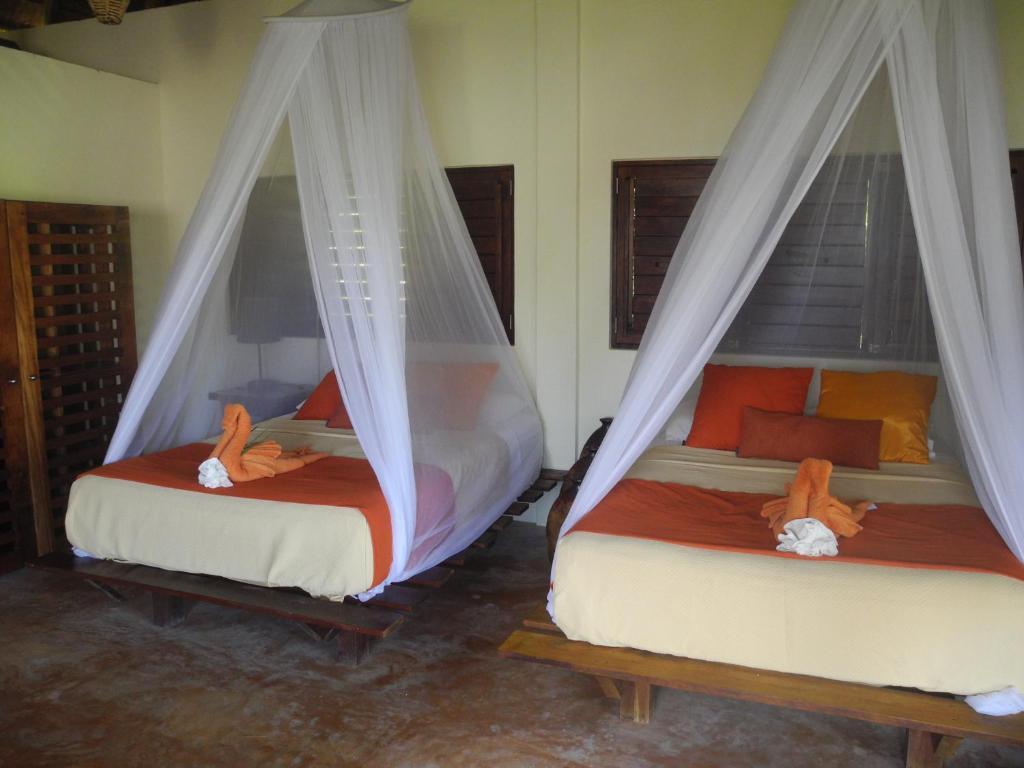 Hotel Sol Caribe à Punta Allen Chambre photo