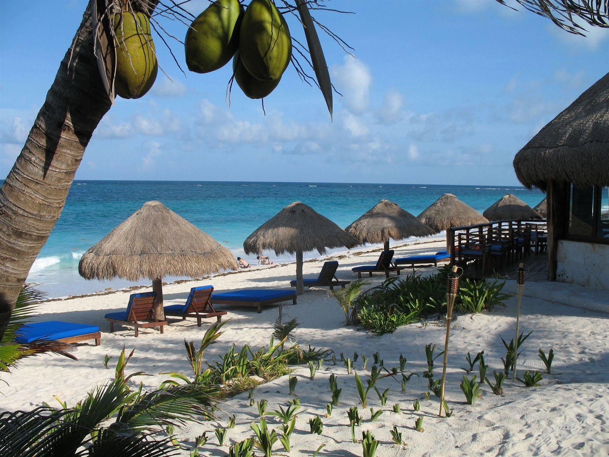 Hotel Sol Caribe à Punta Allen Extérieur photo