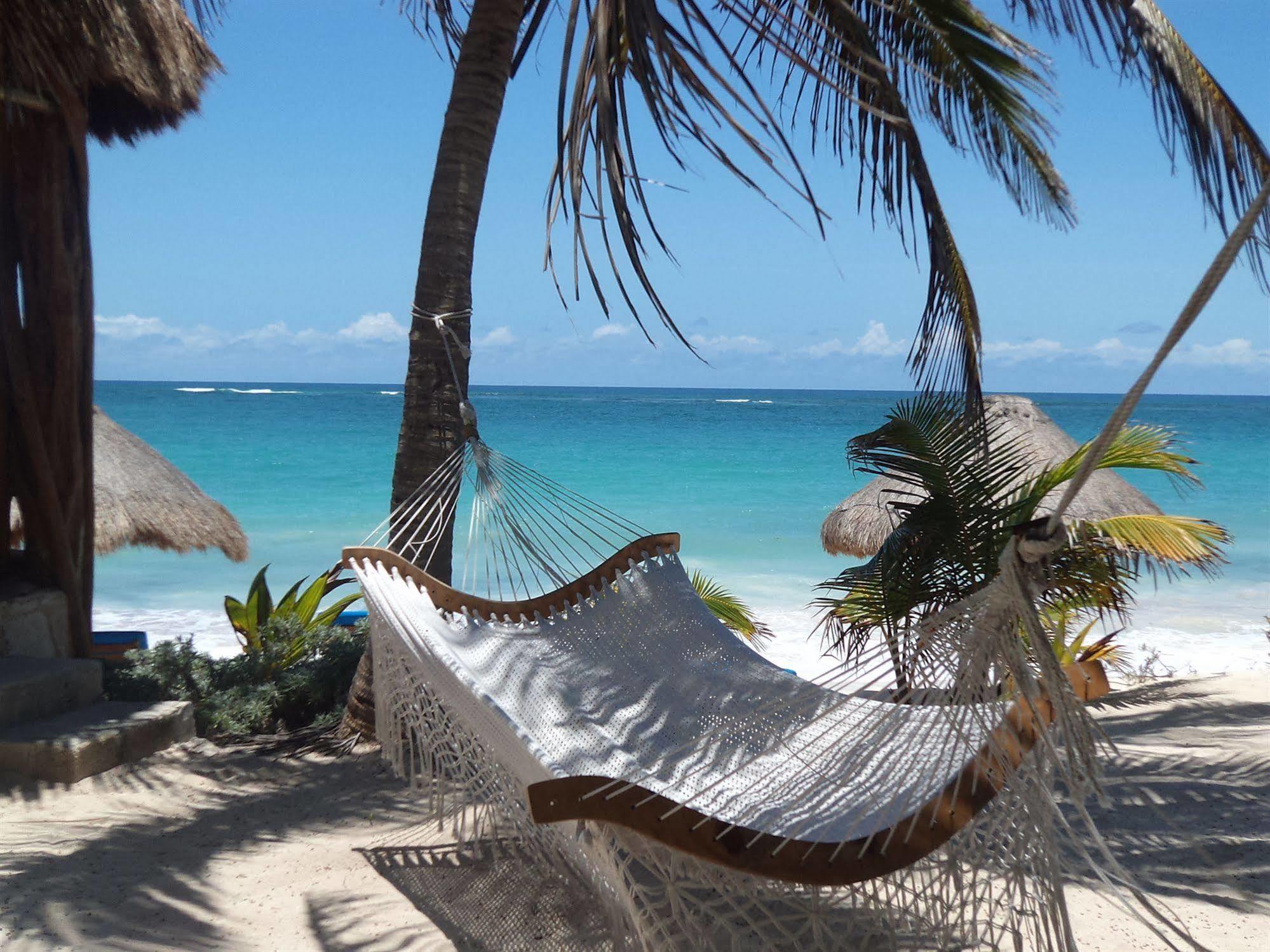 Hotel Sol Caribe à Punta Allen Extérieur photo