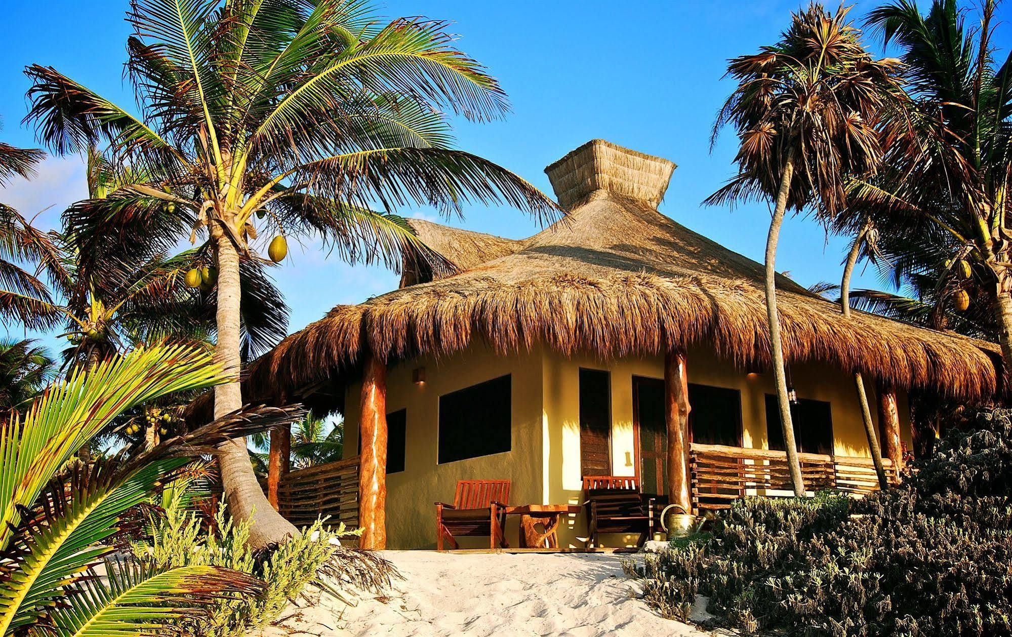 Hotel Sol Caribe à Punta Allen Extérieur photo